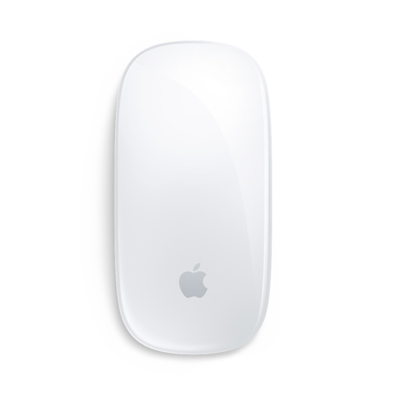 Magic Mouse Repair​